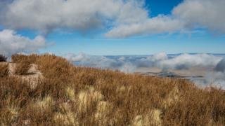 Image from the top of "M" Mountain, golden grasslands are in the image foreground and clouds are in the sky and background.